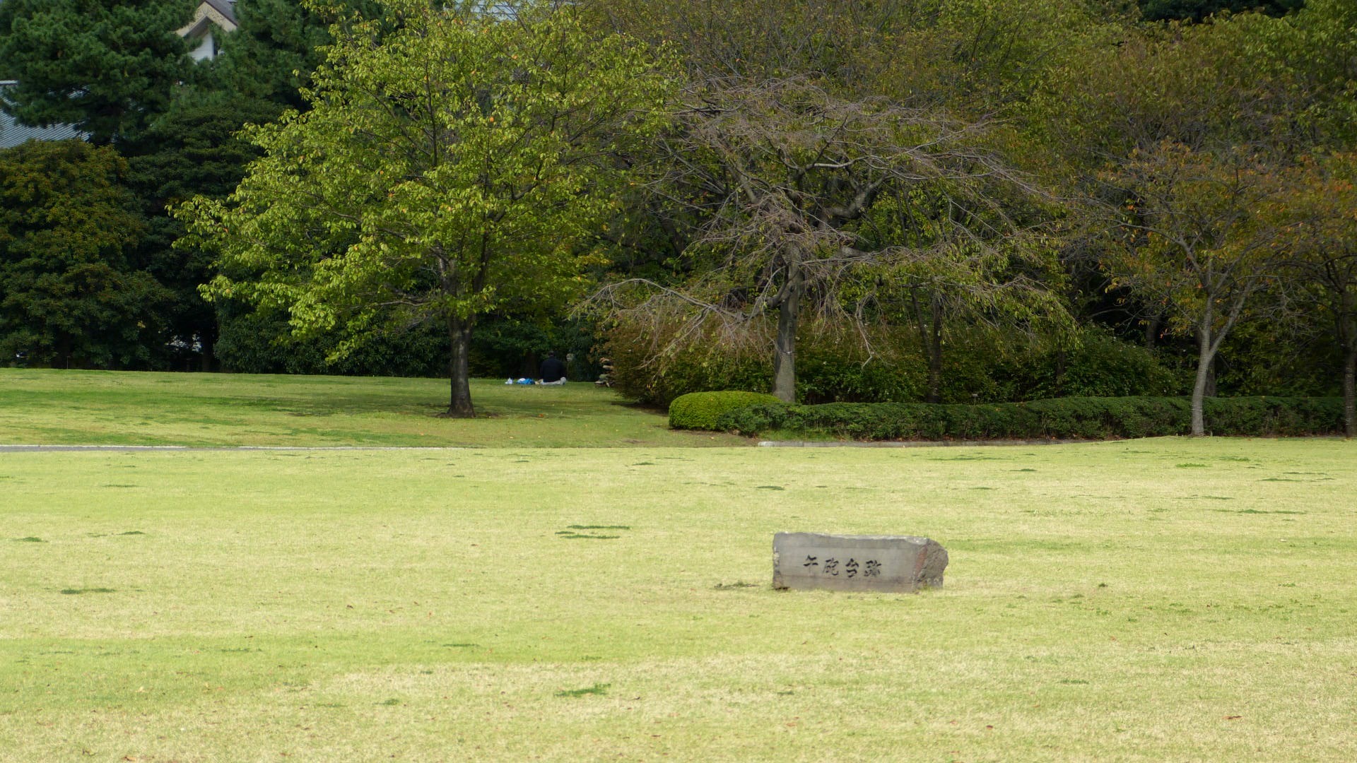 a flat grassy area with trees in the distance